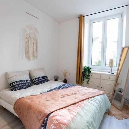 Appartement Entierement Renove Et Cosy Avec Jardin Mulhouse Ngoại thất bức ảnh